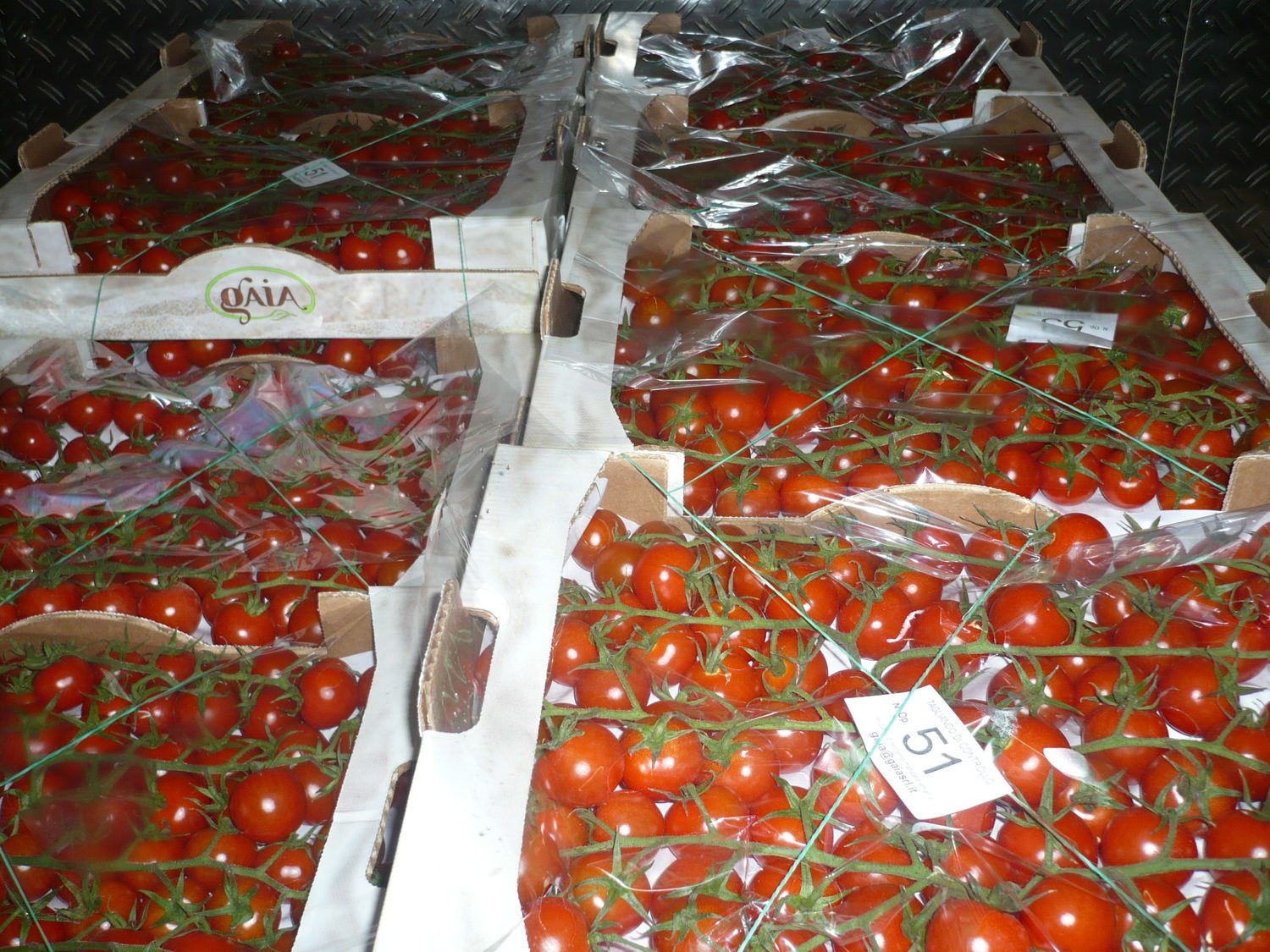 Tomaten für Genießer - erhältlich bei der Fa Felber